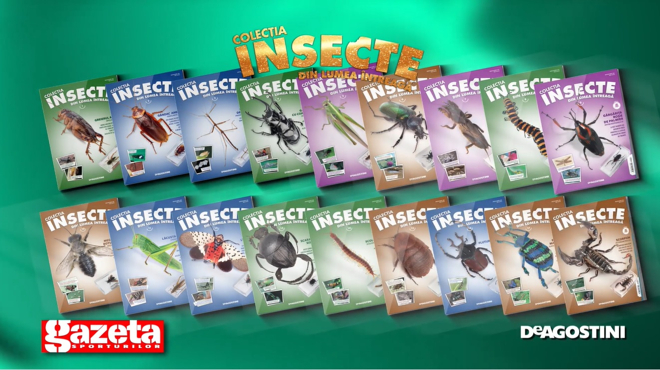 Insecte din lumea intreaga