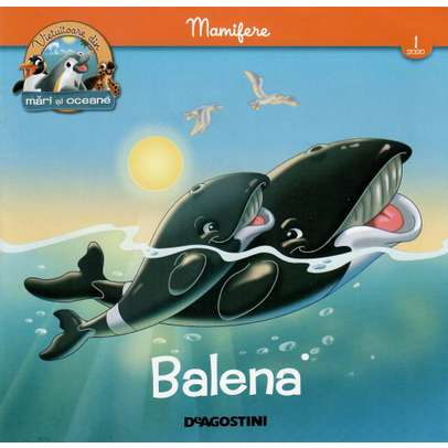 Animale marine nr.1 - Mamifere-Balena - coperta