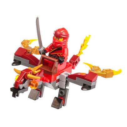 LEGO Zbor cu Dragonul de foc - Reconstruim Lumea Nr. 14