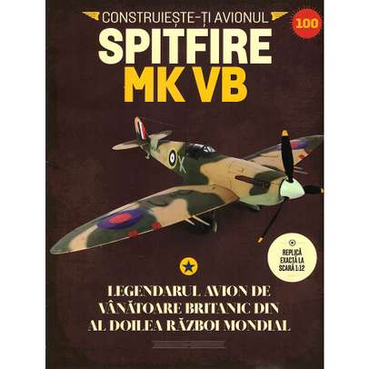 Supermarine Spitfire MkVb Nr.100