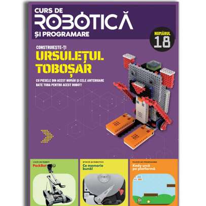 Curs de Robotica si Programare Nr.18 - Ursuletul tobosar