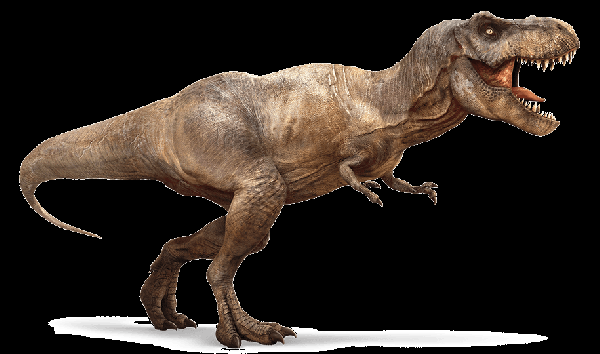 Cum se construieste Macheta T-rex-Hachette-Fascicoli-tutorial cu montajul colectiei Distreaza-te si construieste Tyrannosaurus Rex nr.1-5