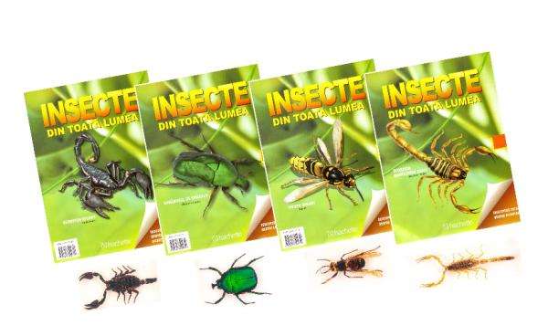 Colectia "Insecte din toata lumea" - Hachette