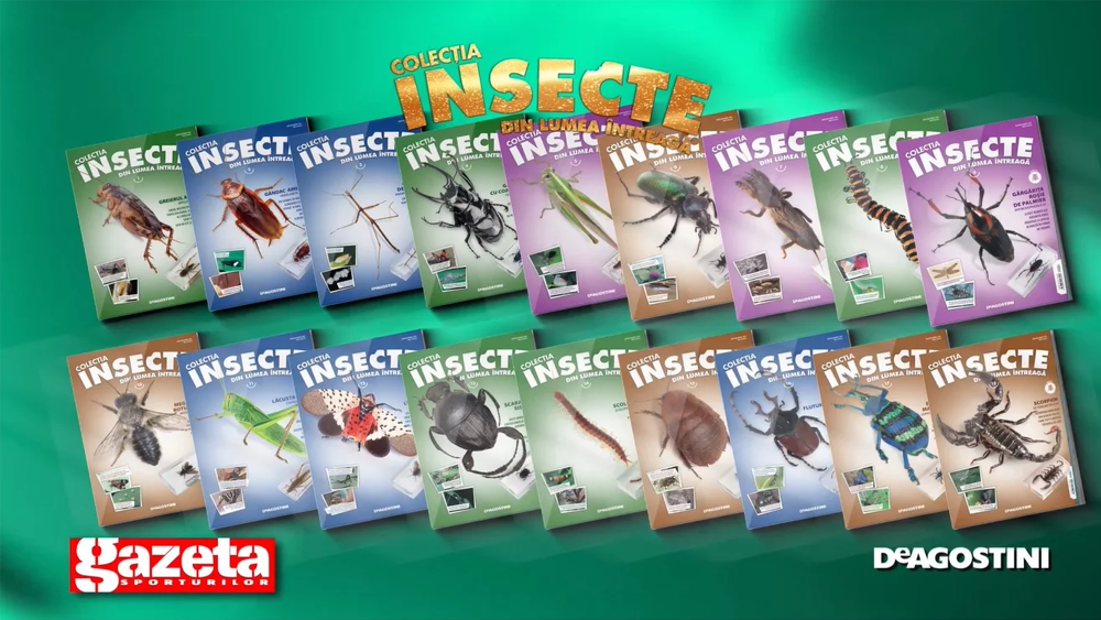 Lansare colectie noua! Gazeta Sporturilor aduce colectia DeAgostini "Insecte din lumea intreaga"