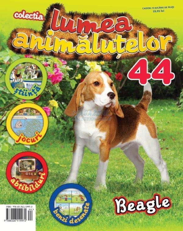 Beagle - Colectia "Lumea animalutelor" de plus